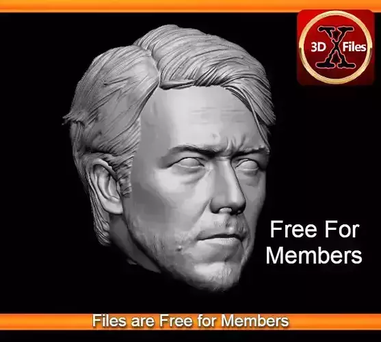 Edward Norton Hulk Head Sculpt - 3D Print File STL