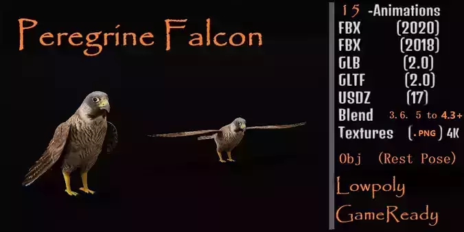 Peregrine Falcon