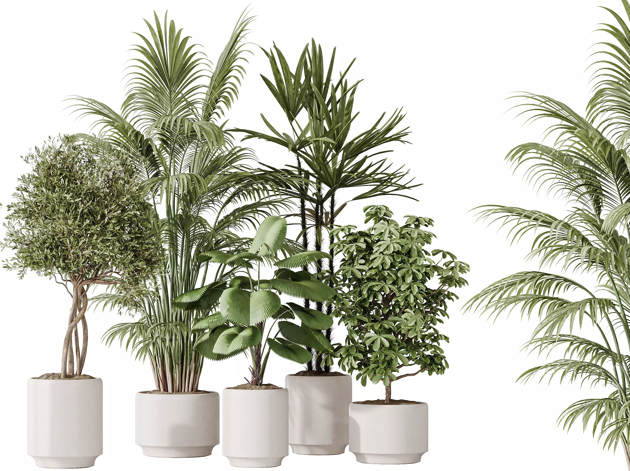 AV Indoor plants set 186 3D model