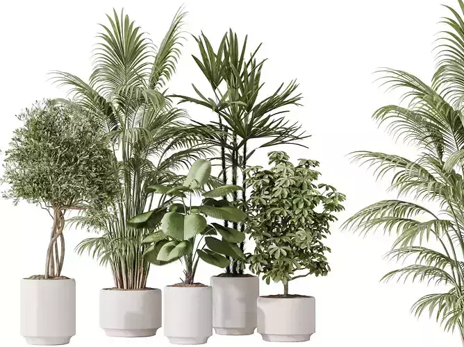 AV Indoor plants set 186 