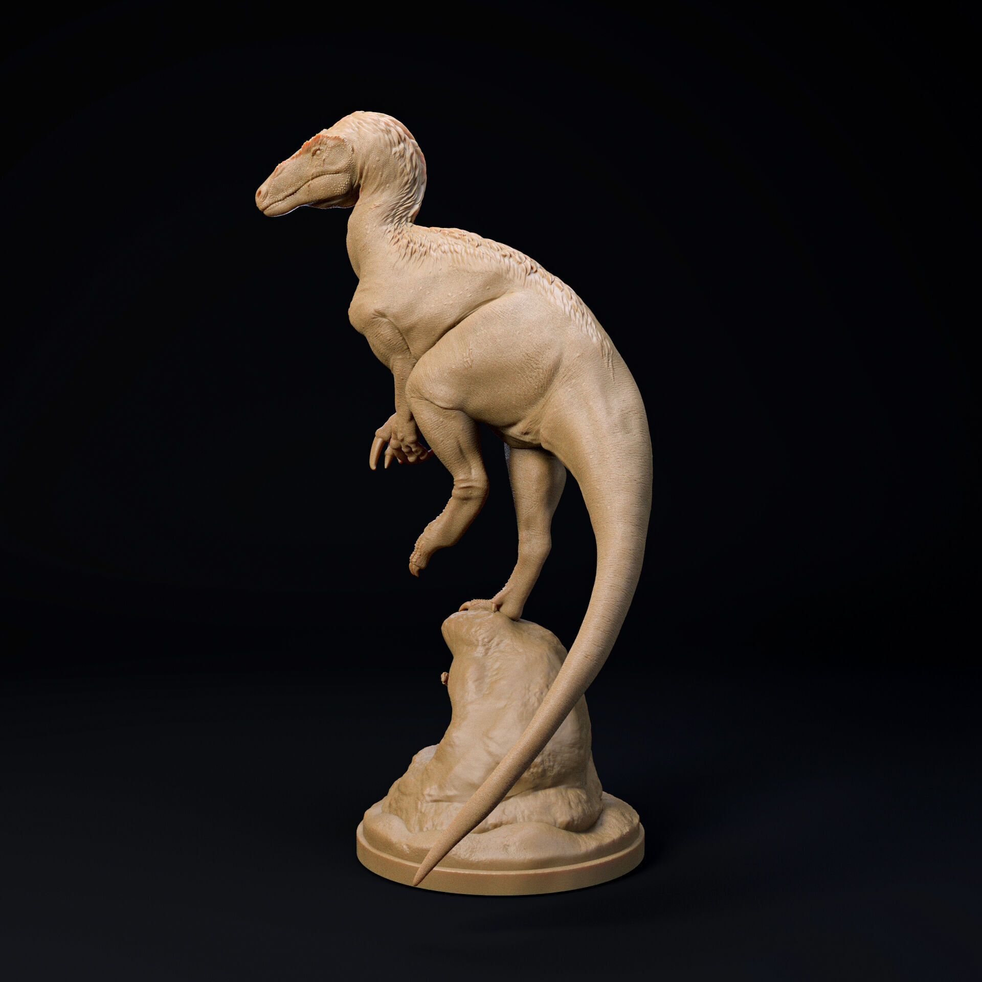 Maip Macrothorax 1-35 scale pre-supported dinosaur 3D print model_1