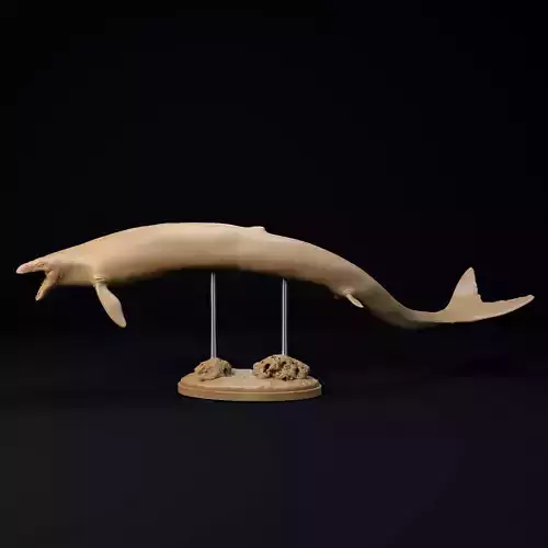 Basilosaurus 1-35 scale pre-supported prehistoric whale 3D print model