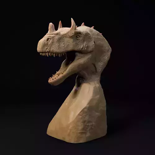 Ceratosaurus bust - pre supported
