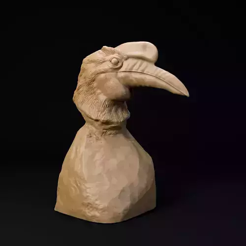 Knobbed hornbill bust - pre supported