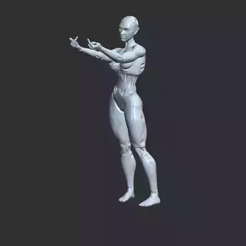 Sexy Mecha Girl NSFW Middle Finger 3D Printable STL