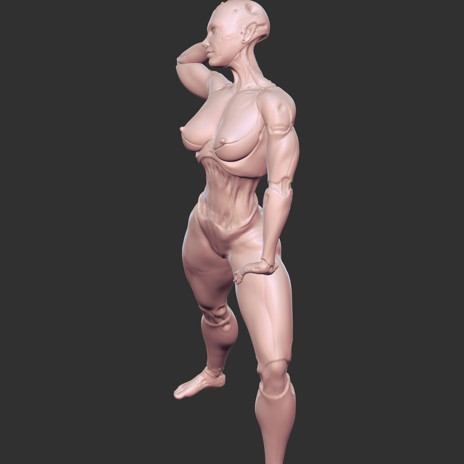 Erotic Sci-Fi Waifu with Robotic Features STL 3D print model_6