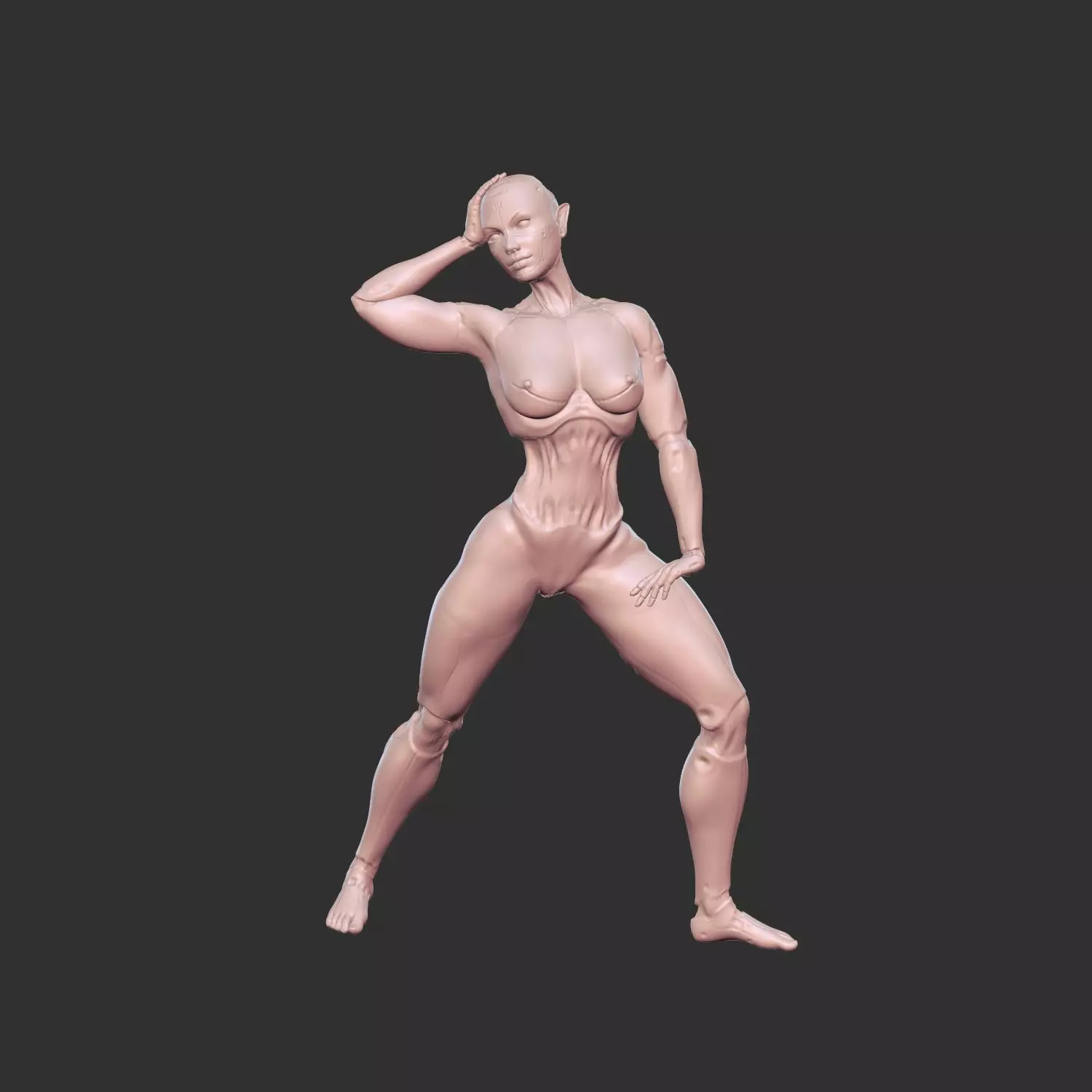 Erotic Sci-Fi Waifu with Robotic Features STL 3D print model_0