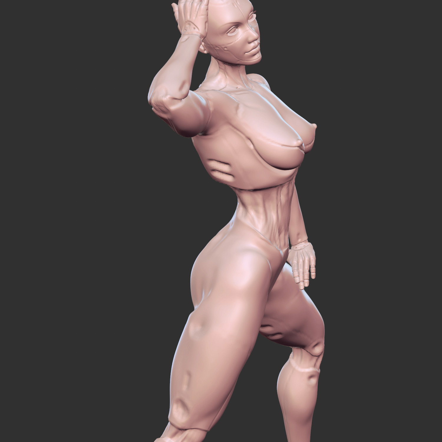 Erotic Sci-Fi Waifu with Robotic Features STL 3D print model_1