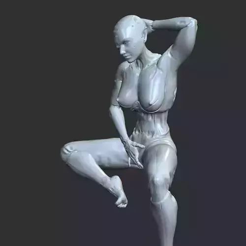 NSFW Cyborg Girl Flipping Off Erotic 3D STL