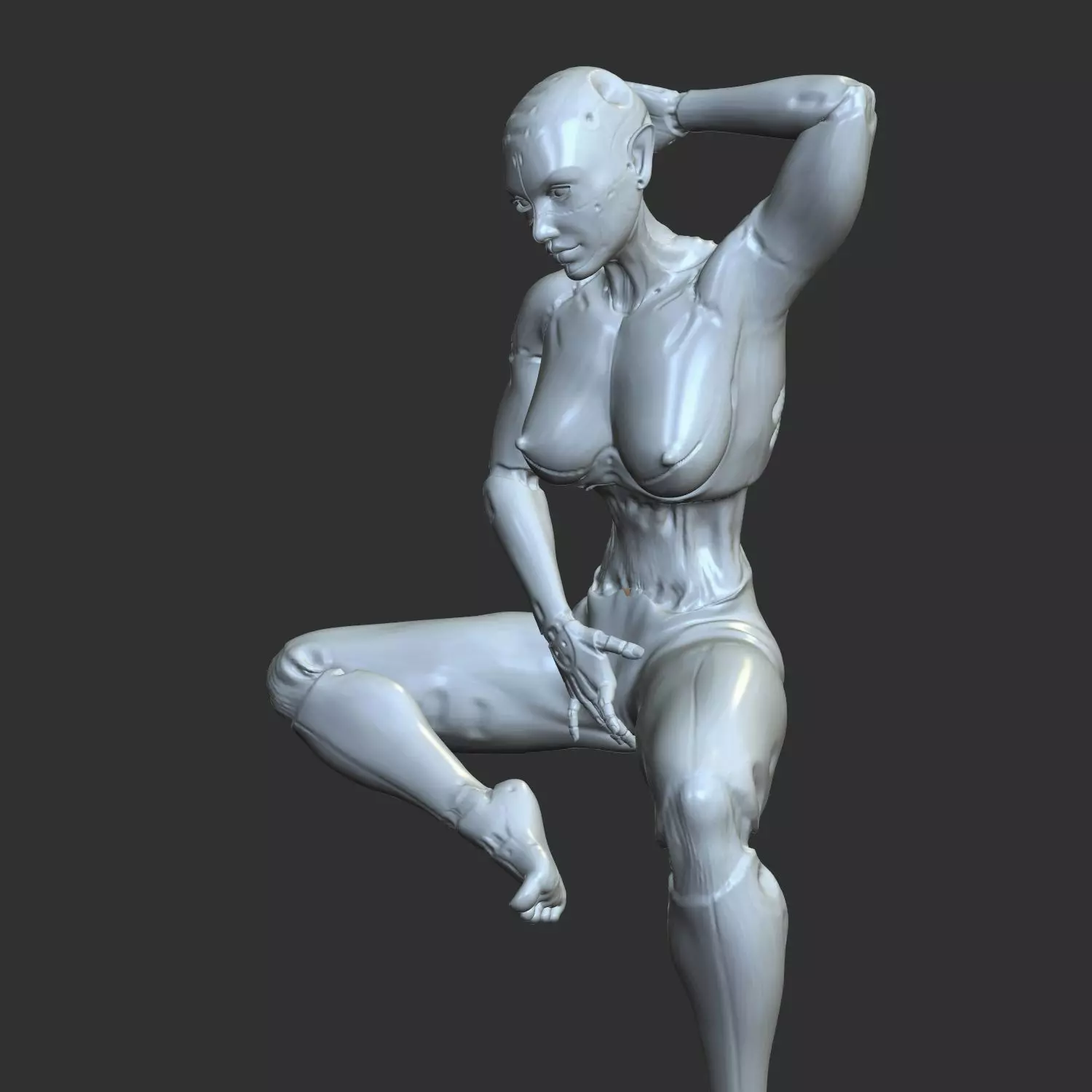 NSFW Cyborg Girl Flipping Off Erotic 3D STL 3D print model_0