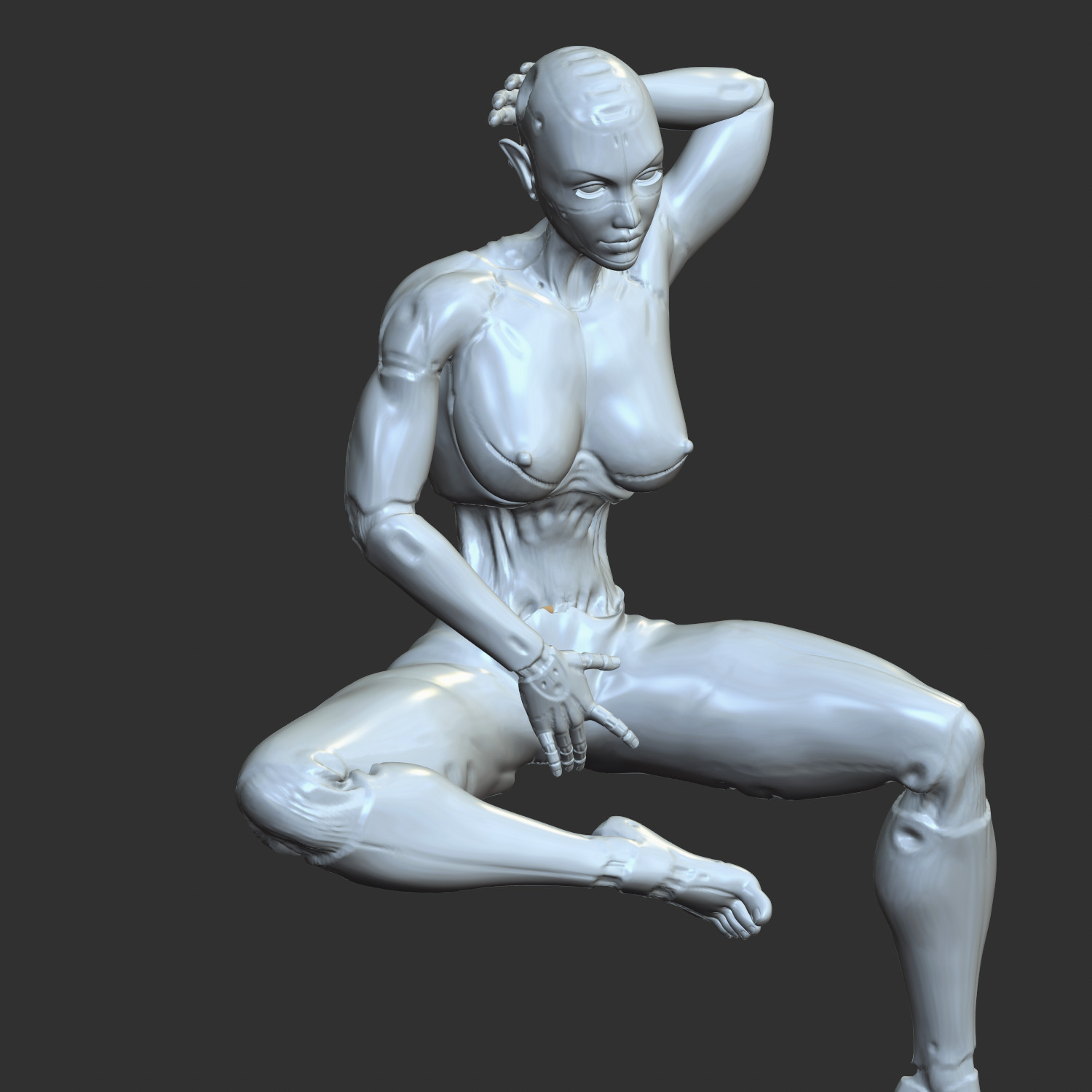 NSFW Cyborg Girl Flipping Off Erotic 3D STL 3D print model_5