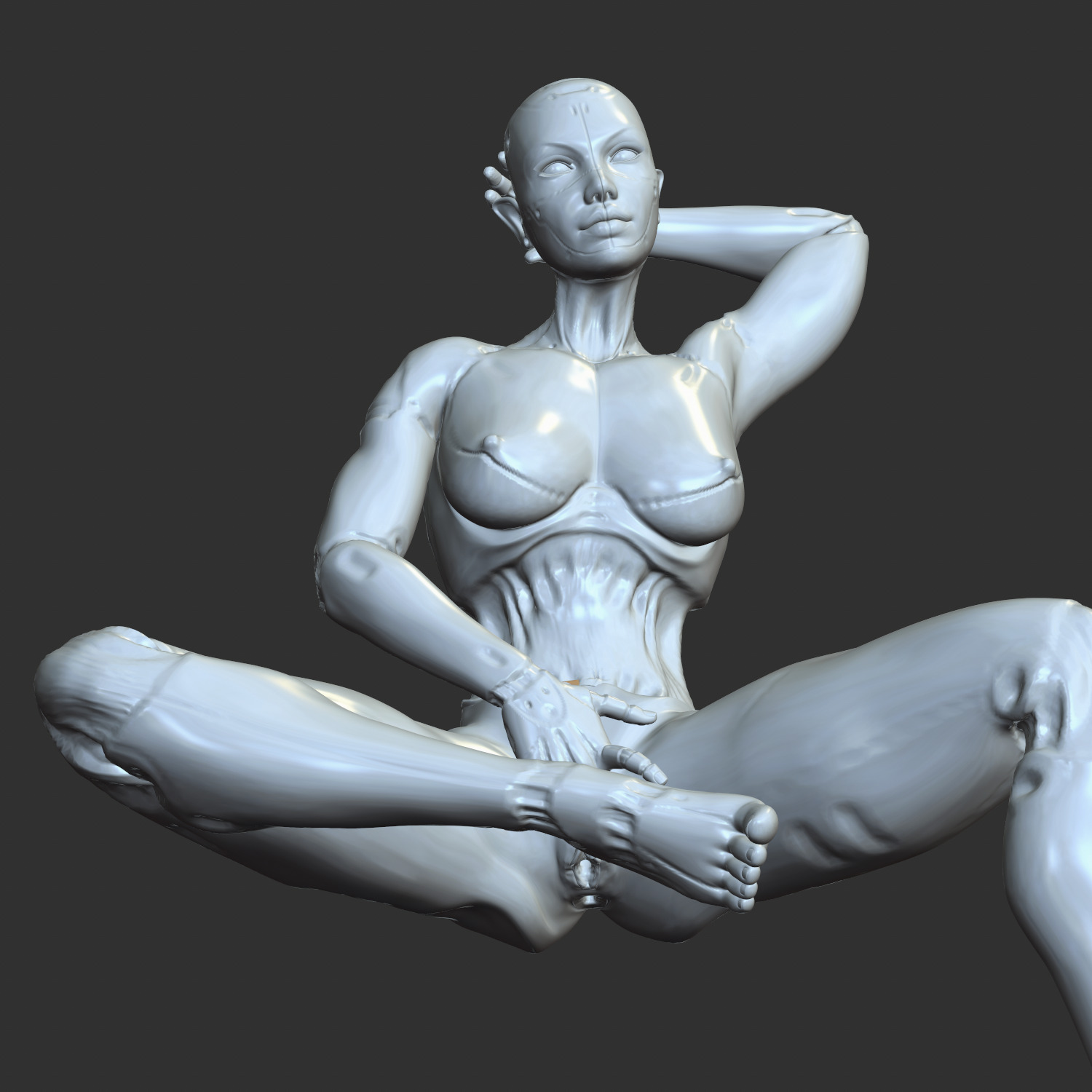 NSFW Cyborg Girl Flipping Off Erotic 3D STL 3D print model_1