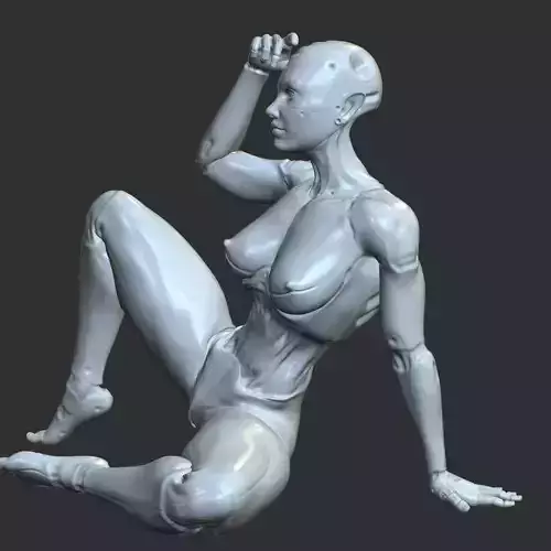 Neon City Cyborg Girl Erotic 3D Model STL