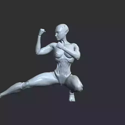 Lewd Techno-Waifu NSFW 3D Print Ready STL
