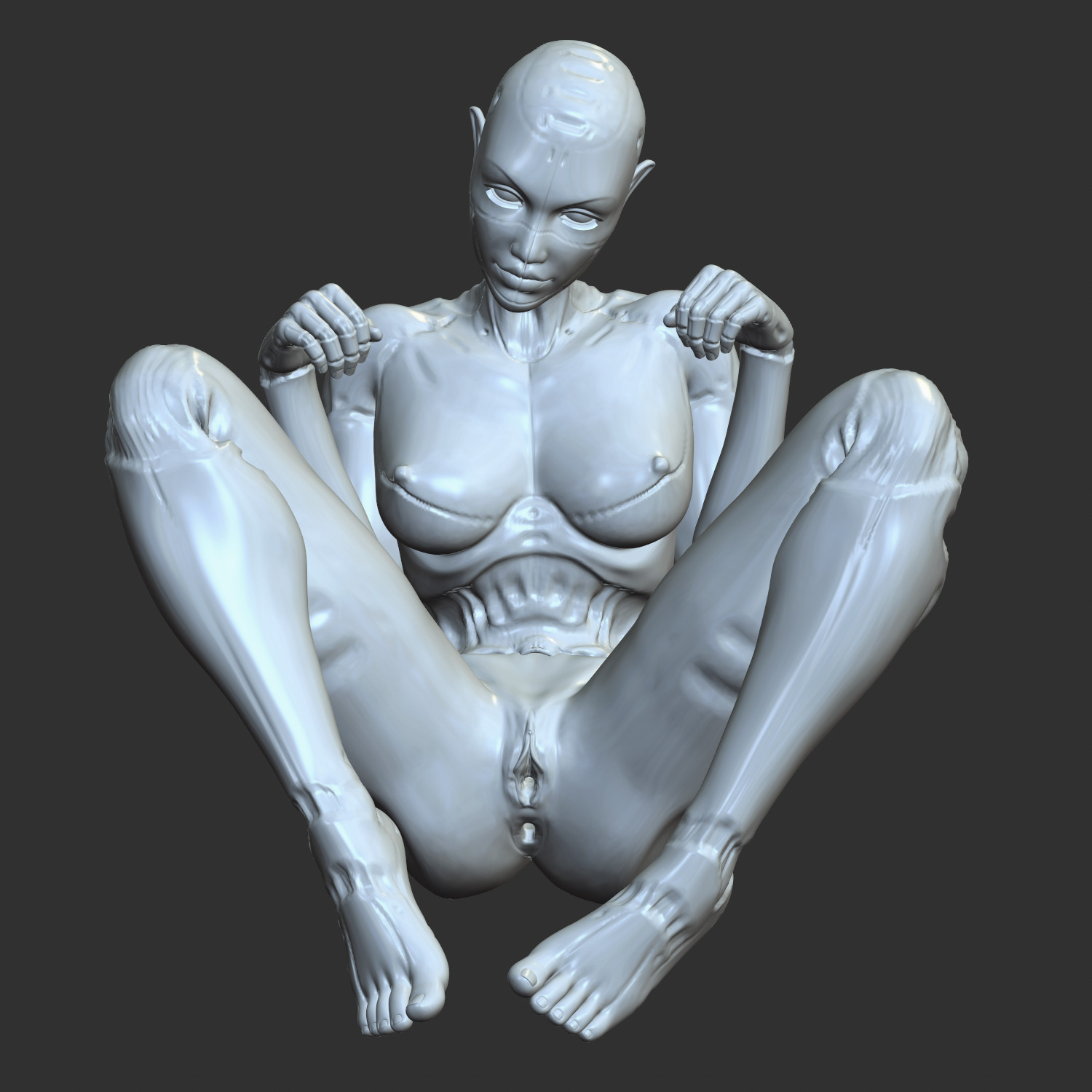 Lewd Cyberpunk Babe with Robotic Features STL 3D print model_1