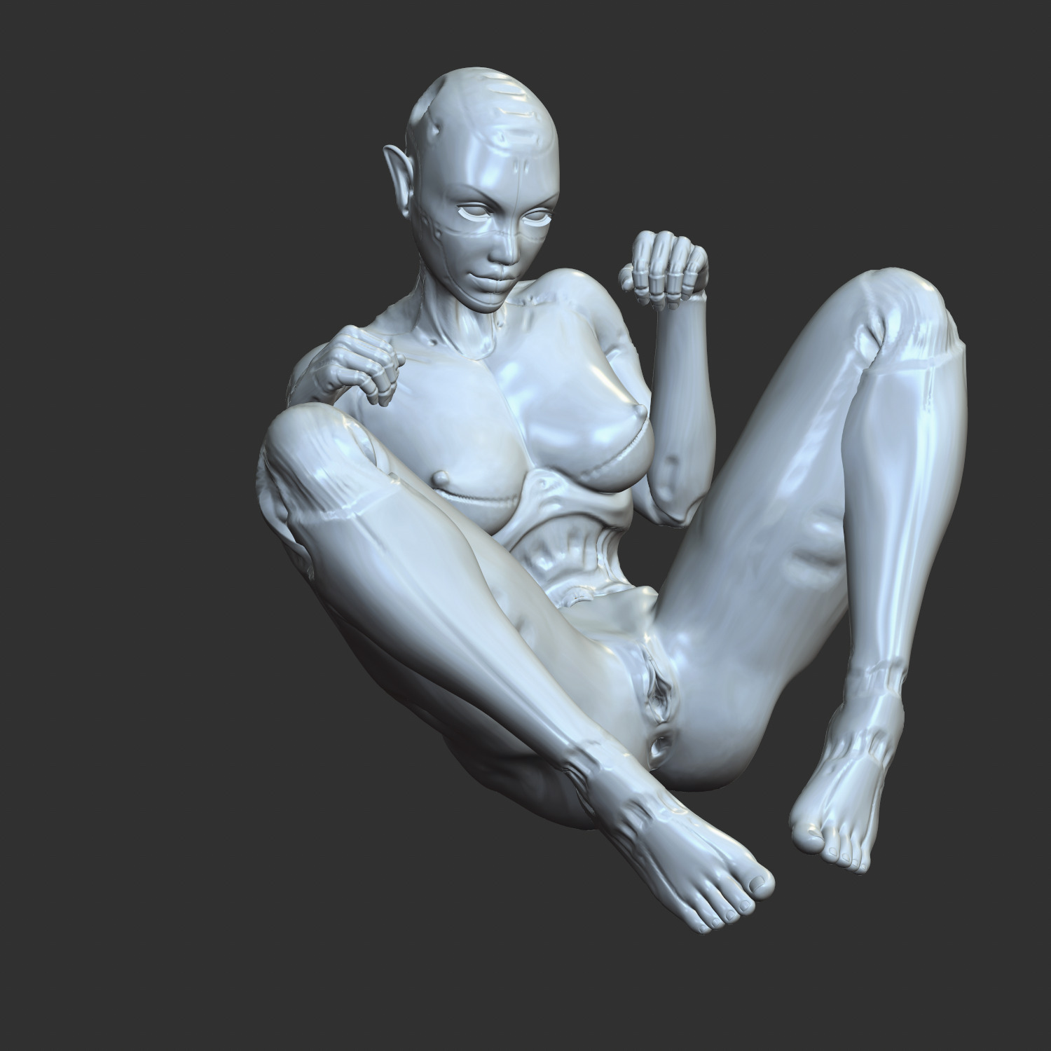Lewd Cyberpunk Babe with Robotic Features STL 3D print model_6