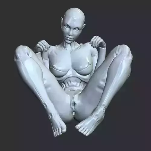 Lewd Cyberpunk Babe with Robotic Features STL