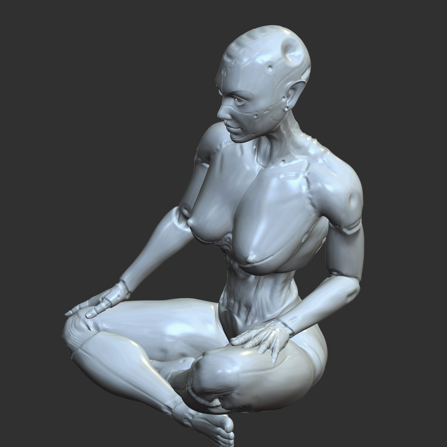 Thicc Cyber Girl NSFW Robo-Waifu STL Model 3D print model_7