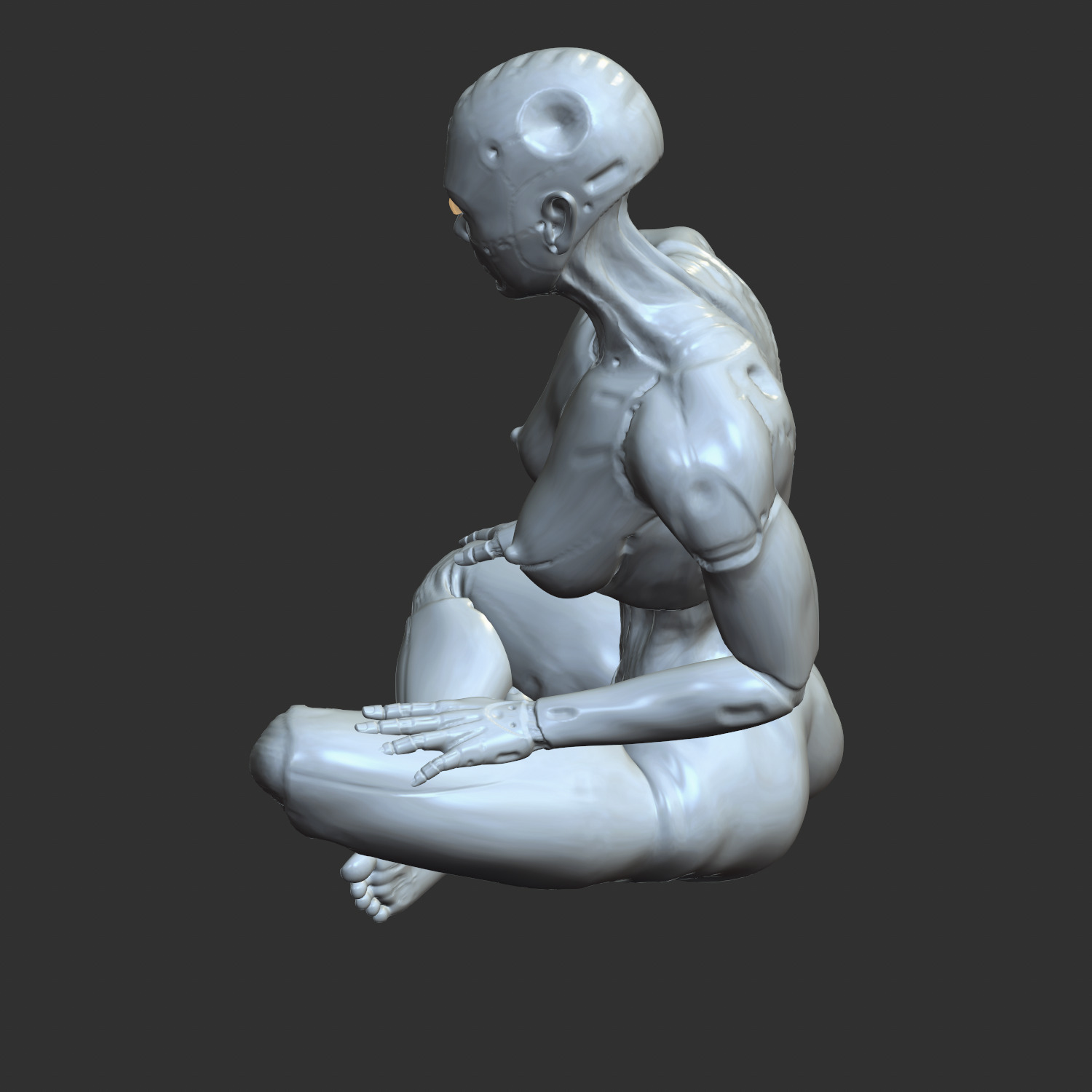 Thicc Cyber Girl NSFW Robo-Waifu STL Model 3D print model_4