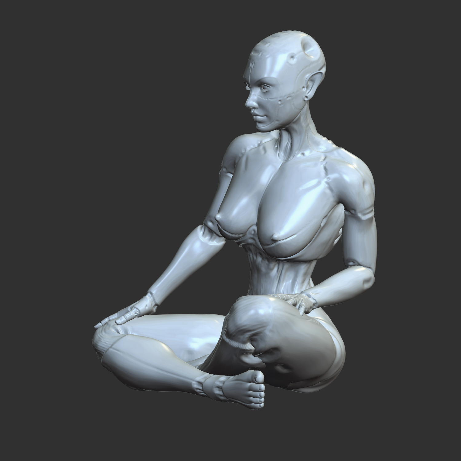 Thicc Cyber Girl NSFW Robo-Waifu STL Model 3D print model_10