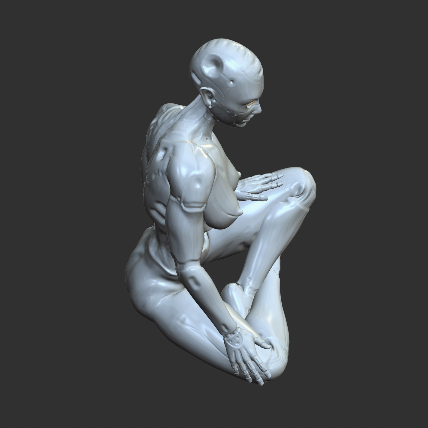 Thicc Cyber Girl NSFW Robo-Waifu STL Model 3D print model_8