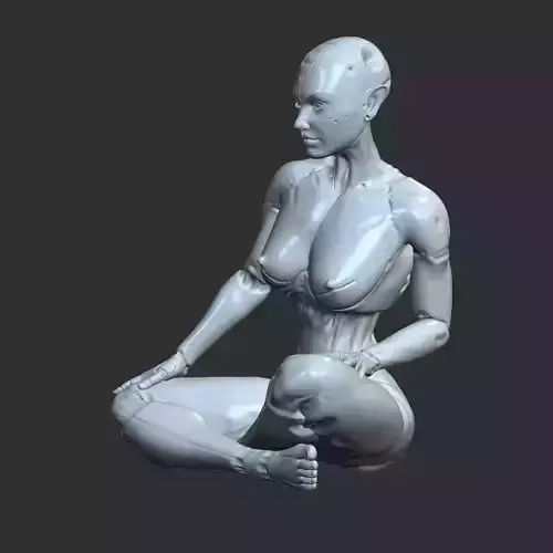 Thicc Cyber Girl NSFW Robo-Waifu STL Model