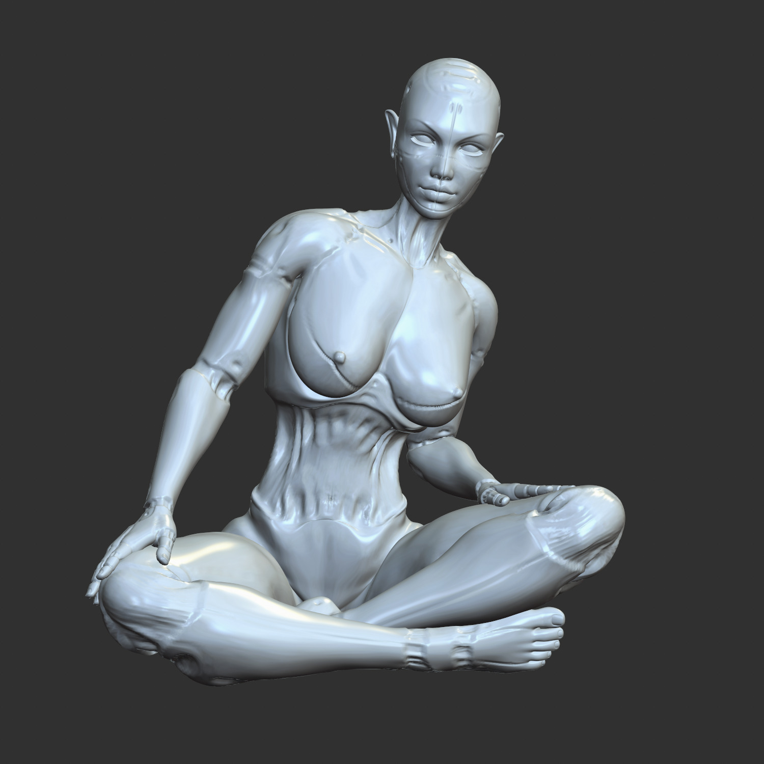 Thicc Cyber Girl NSFW Robo-Waifu STL Model 3D print model_9
