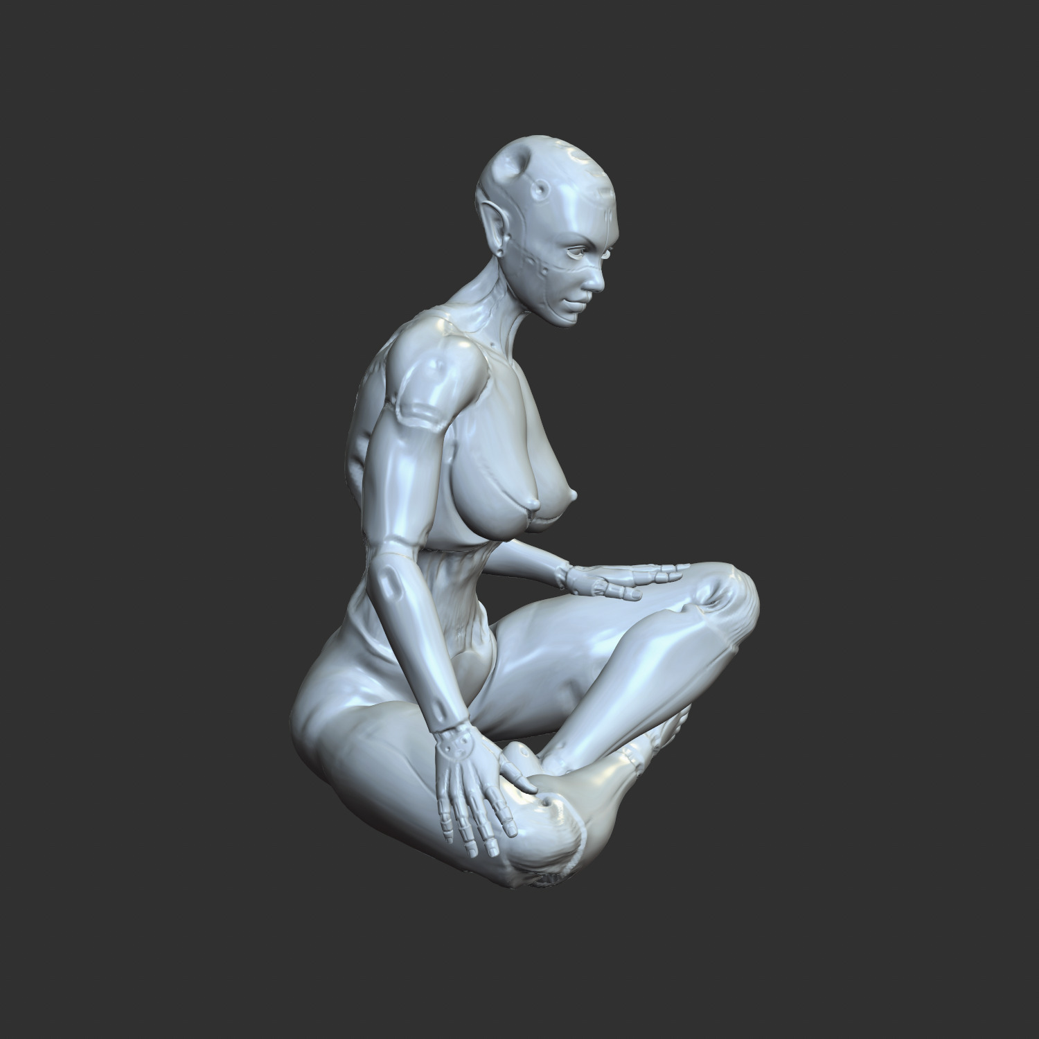 Thicc Cyber Girl NSFW Robo-Waifu STL Model 3D print model_1