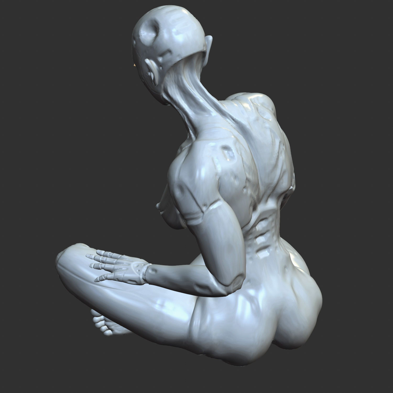 Thicc Cyber Girl NSFW Robo-Waifu STL Model 3D print model_11
