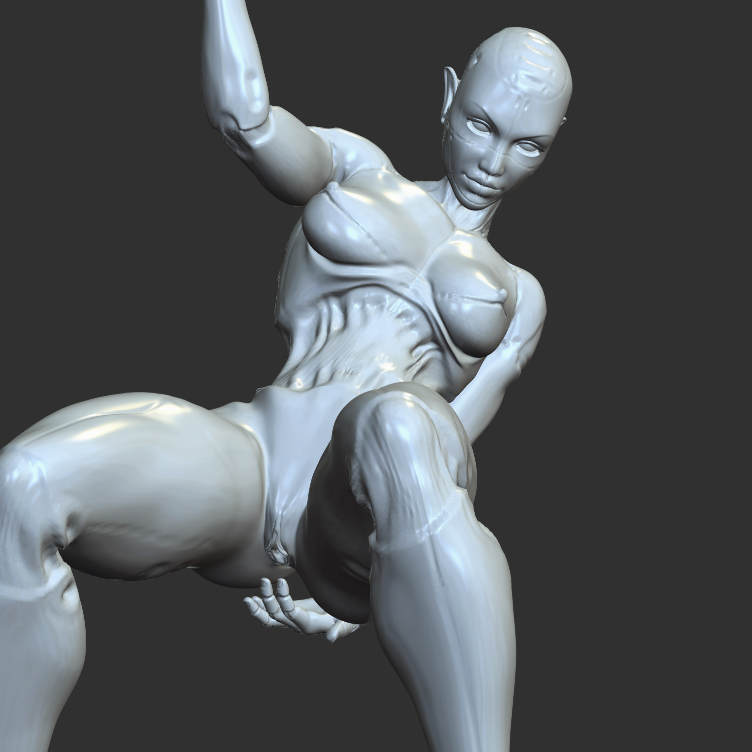 Sexy Robo-Waifu Half-Mechanical NSFW STL Figure 3D print model_5