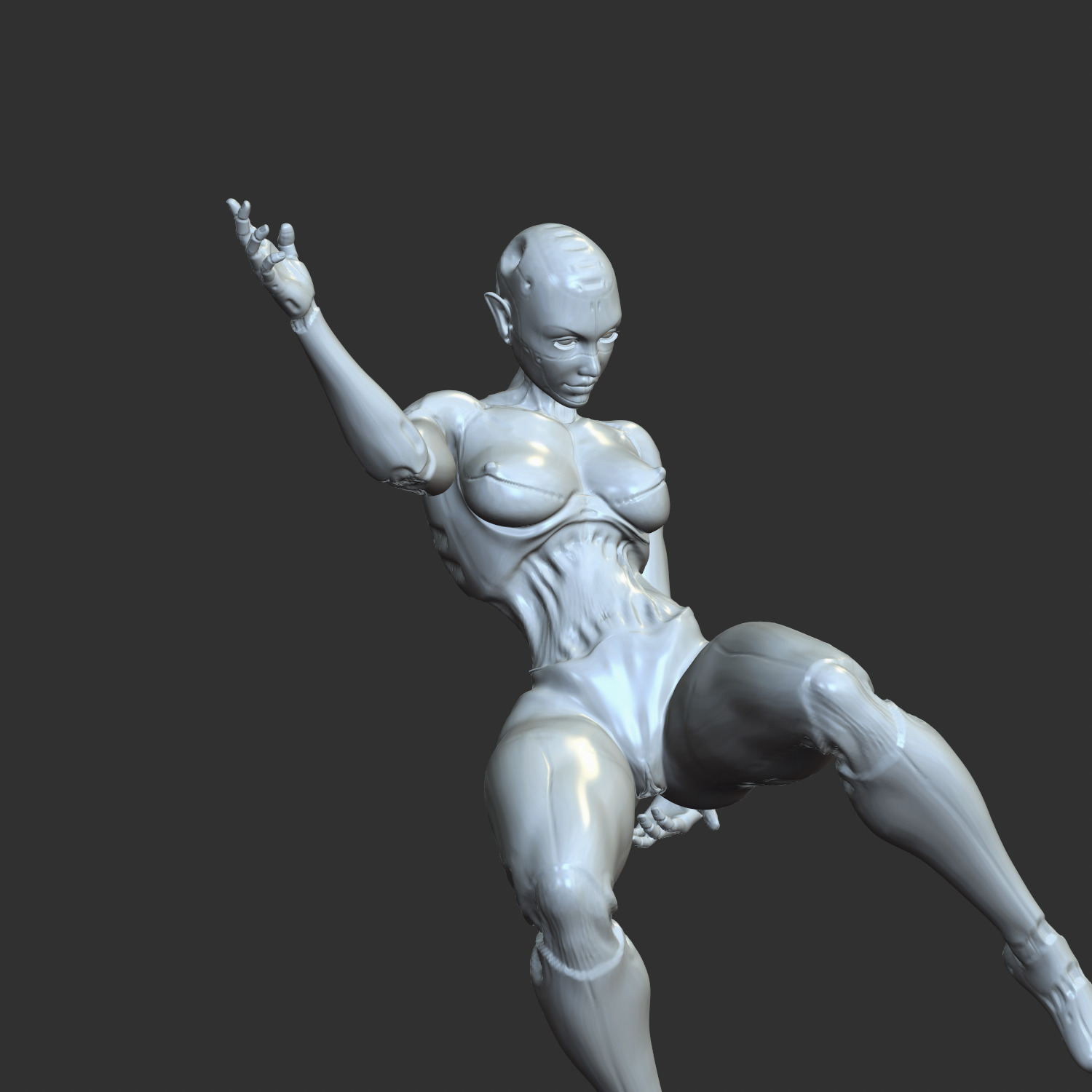 Sexy Robo-Waifu Half-Mechanical NSFW STL Figure 3D print model_3