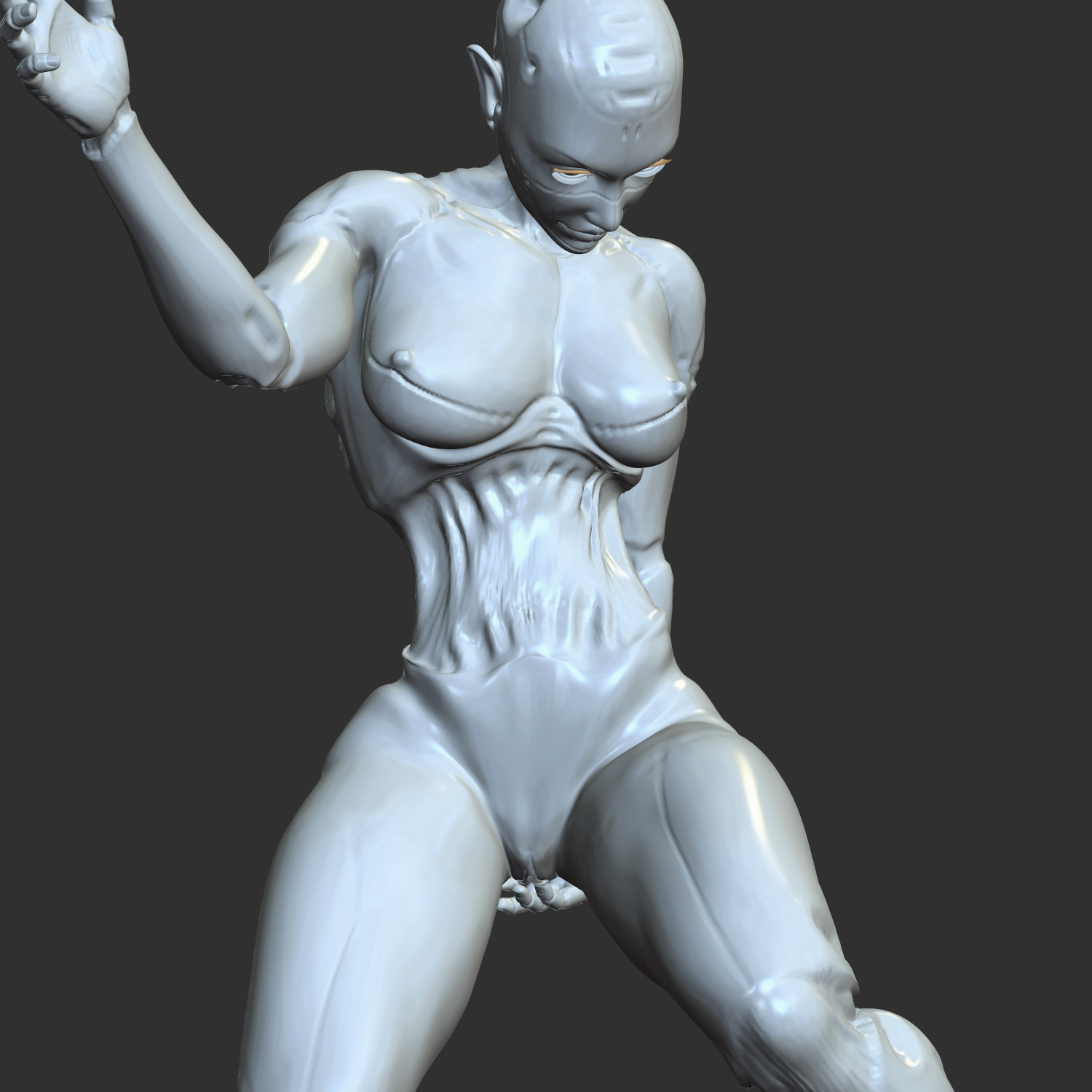 Sexy Robo-Waifu Half-Mechanical NSFW STL Figure 3D print model_2