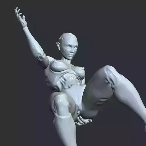 Sexy Robo-Waifu Half-Mechanical NSFW STL Figure