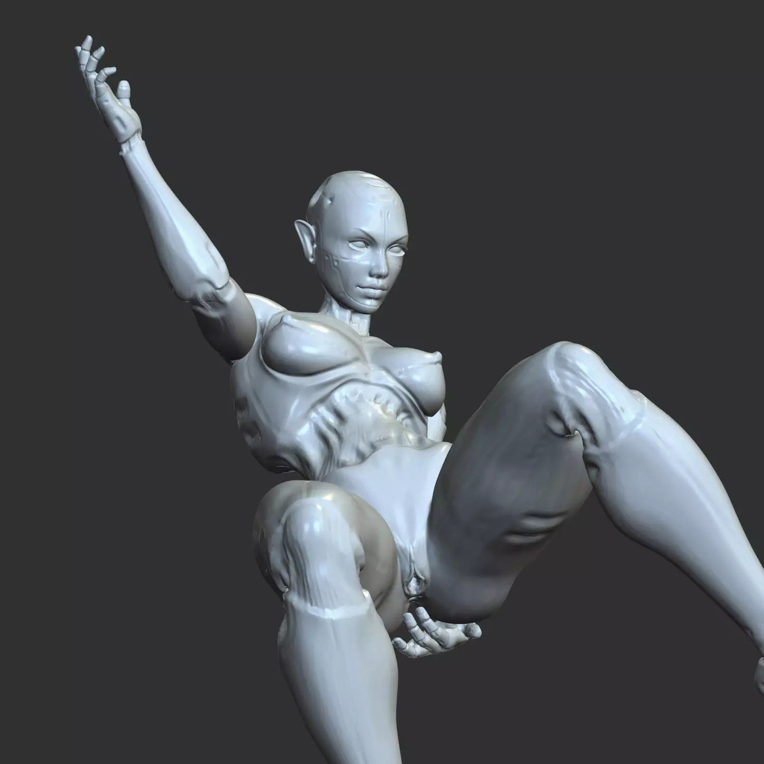 Sexy Robo-Waifu Half-Mechanical NSFW STL Figure 3D print model_0