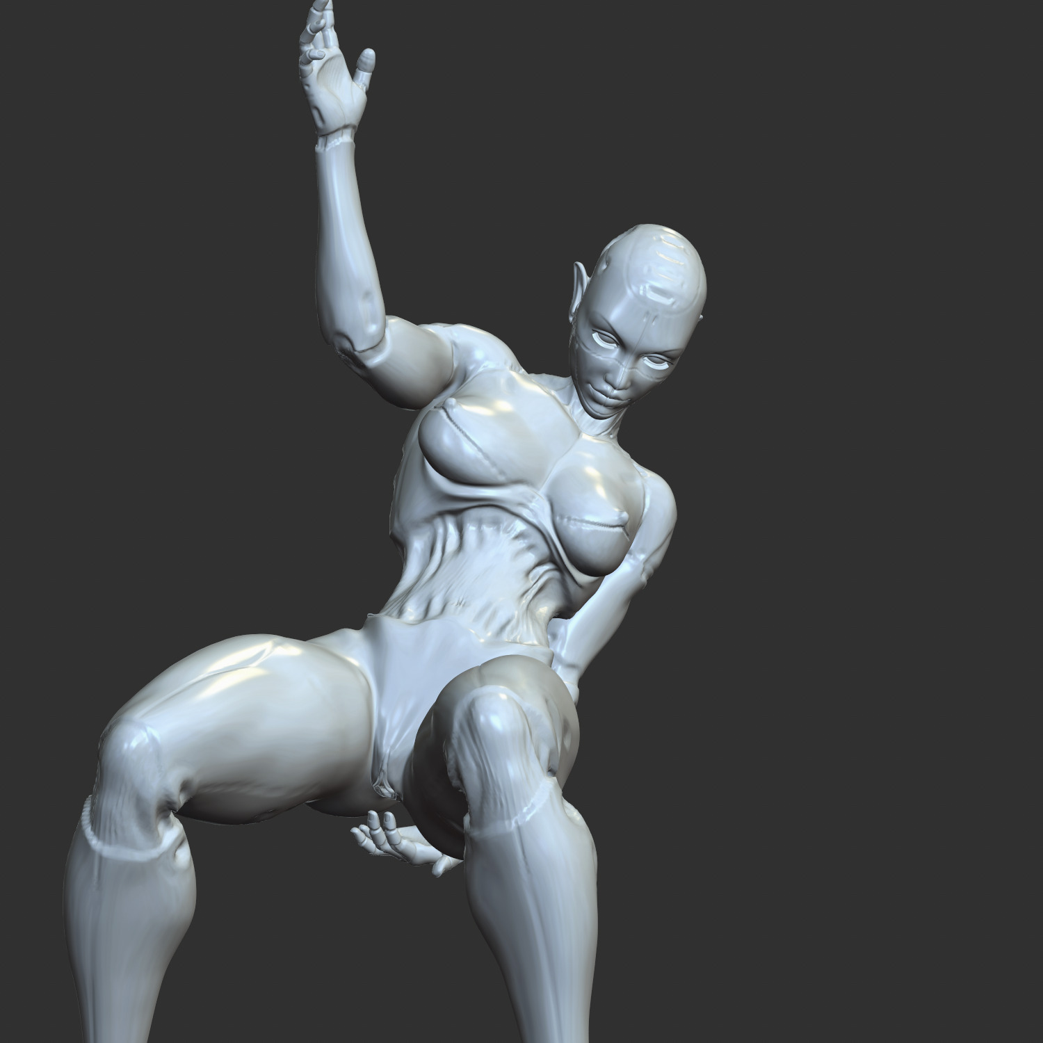 Sexy Robo-Waifu Half-Mechanical NSFW STL Figure 3D print model_1