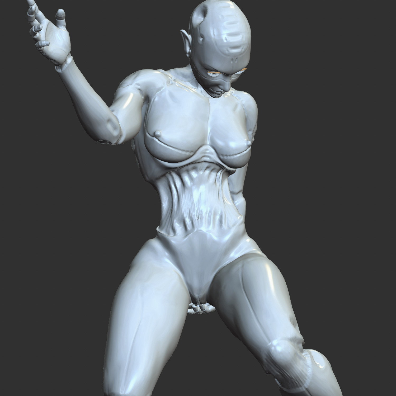 Sexy Robo-Waifu Half-Mechanical NSFW STL Figure 3D print model_4