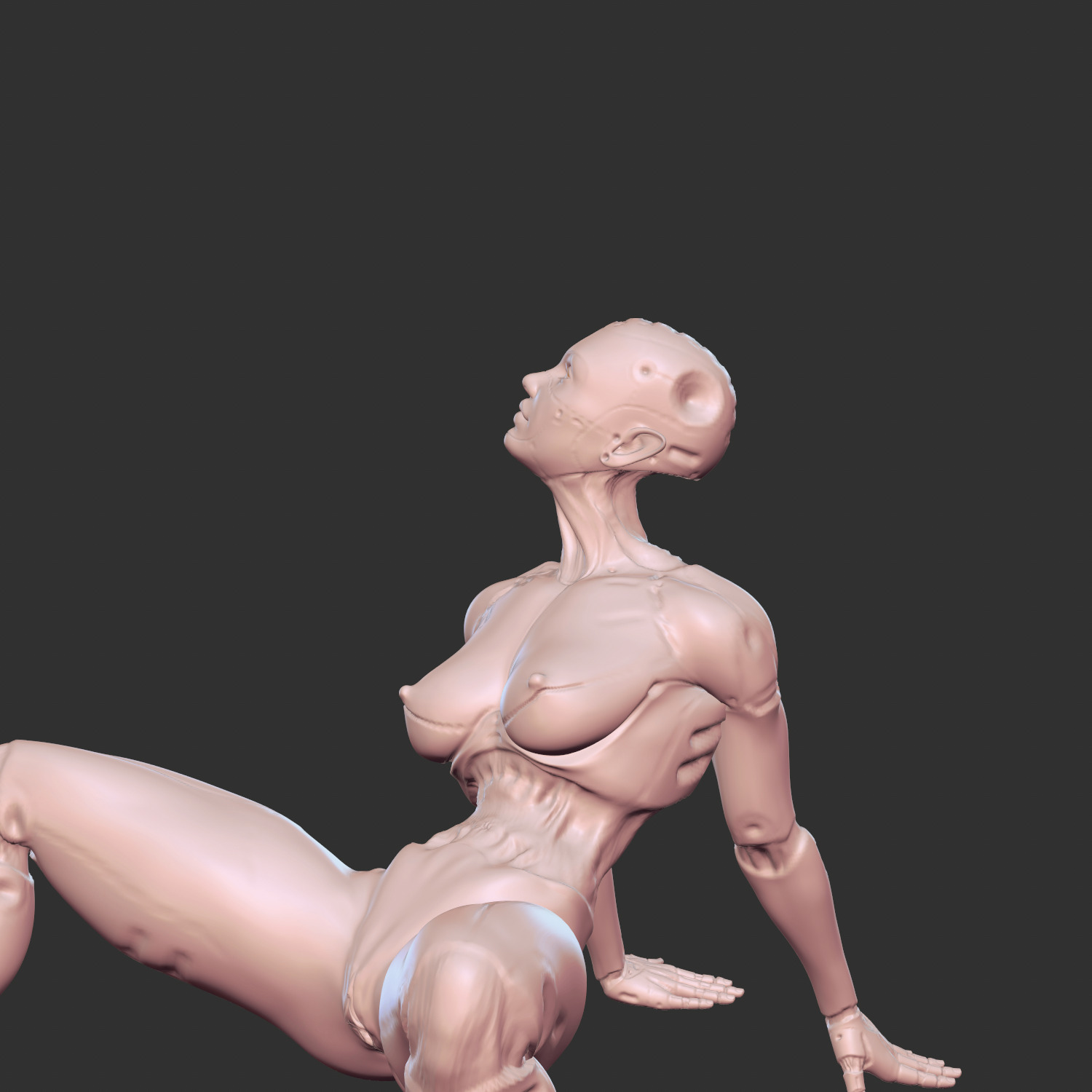 Sexy Cyborg Girl NSFW 3D Print Model STL 3D print model_3