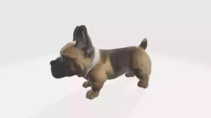 3d model Brown french bulldog isolated on a Portrait of a dog