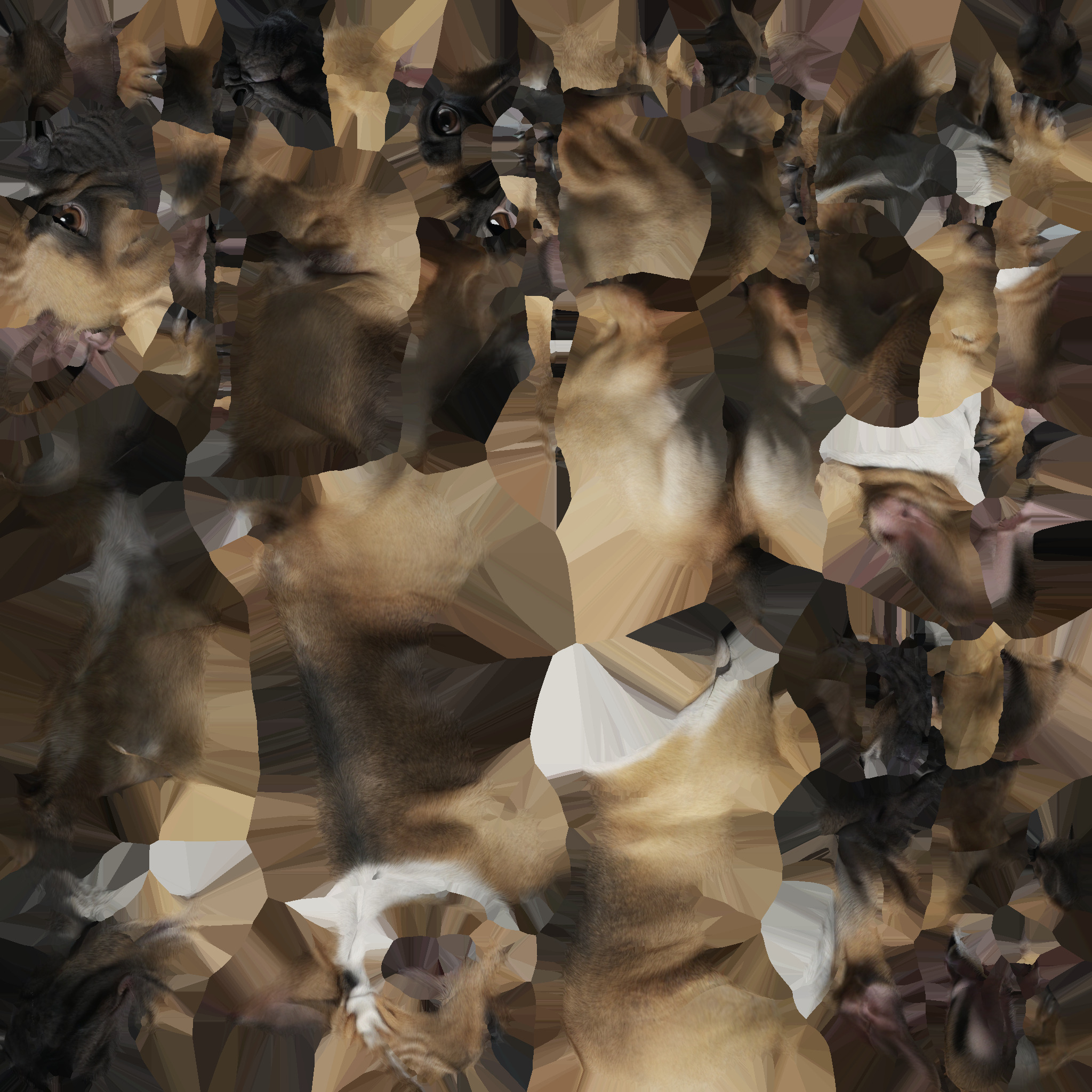 3d model Brown french bulldog isolated on a Portrait of a dog 3D model_7