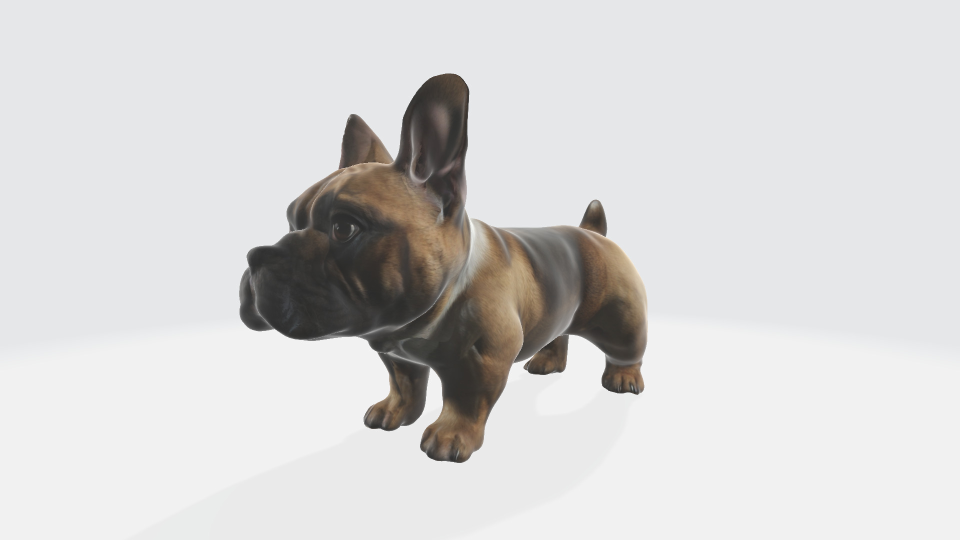 3d model Brown french bulldog isolated on a Portrait of a dog 3D model_1