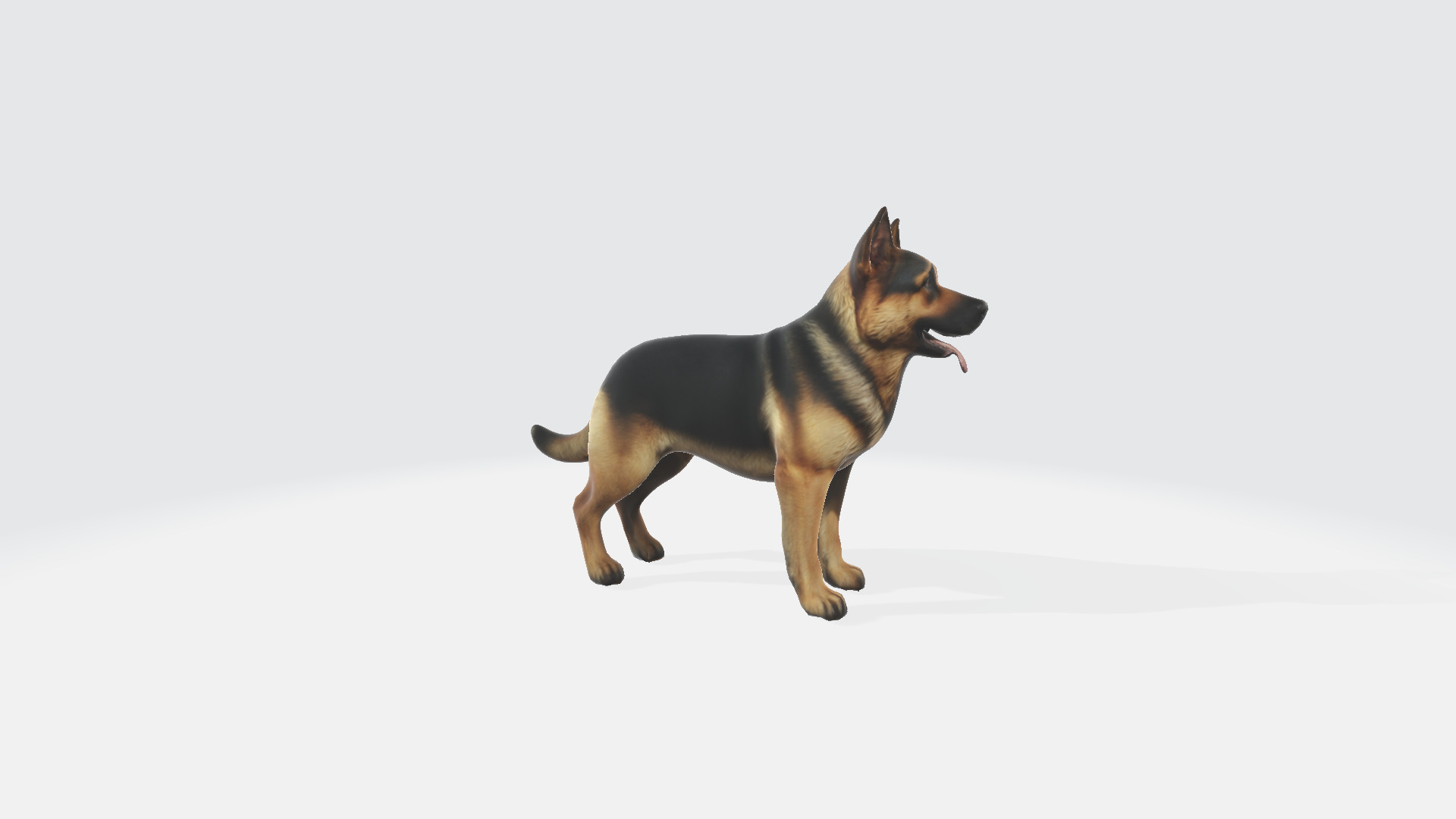German Shepherd Dog With 3d Rendered Model Portrait 3D model_3