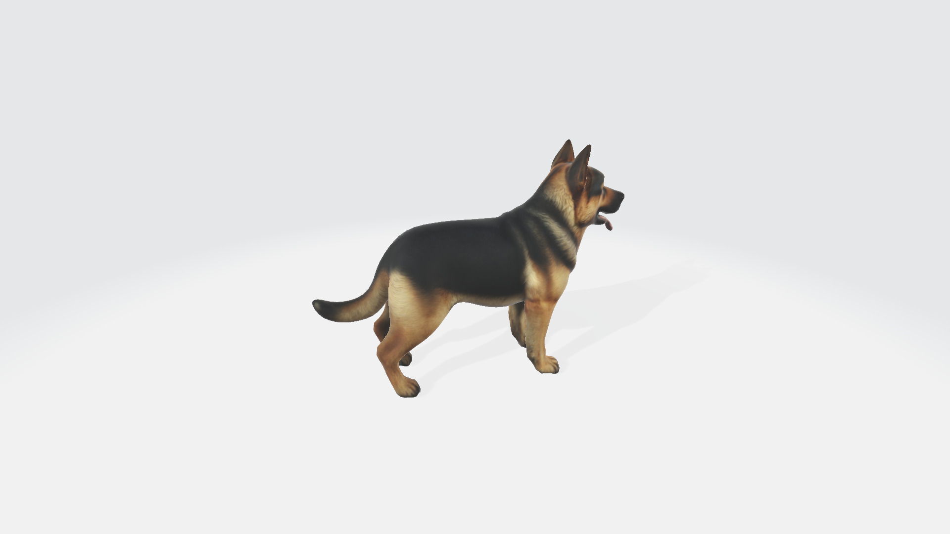 German Shepherd Dog With 3d Rendered Model Portrait 3D model_4