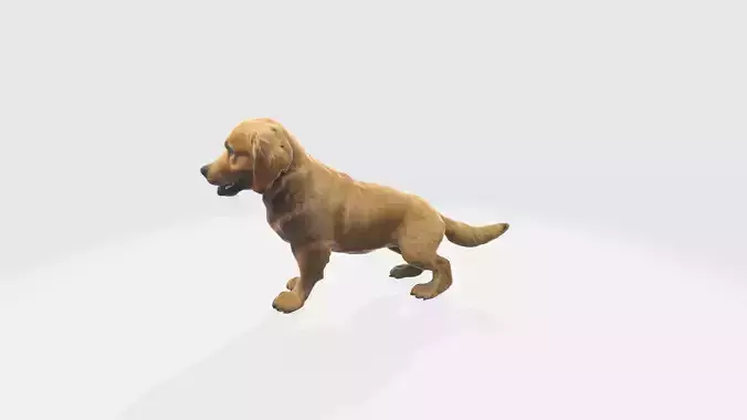 Realistic 3d High Resolution Model Golden Retriever Dog