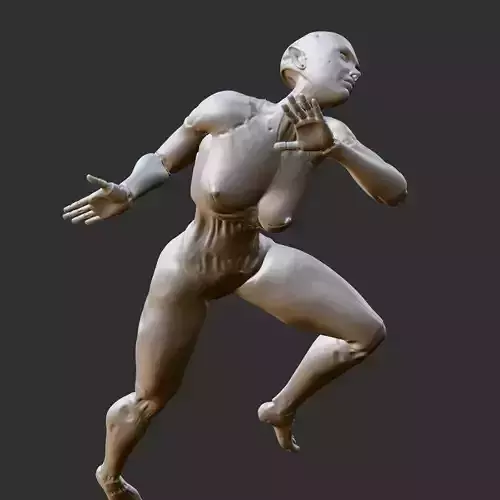 NSFW Anime Babe Middle Finger Attitude Pose STL