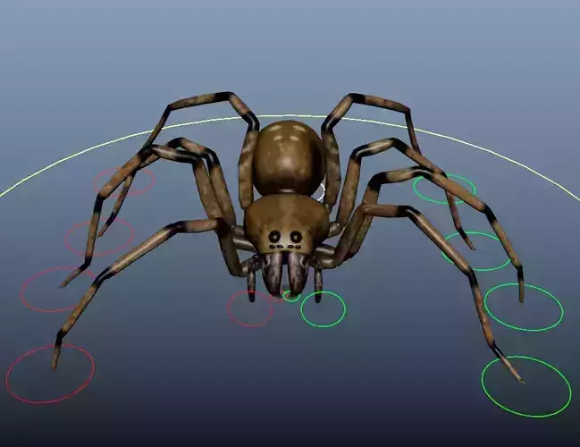 Spider Rig 