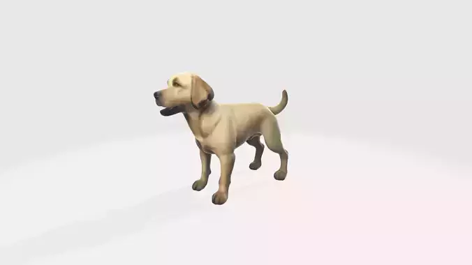 Portrait Of Golden Labrador Retriever Dog 3d Model