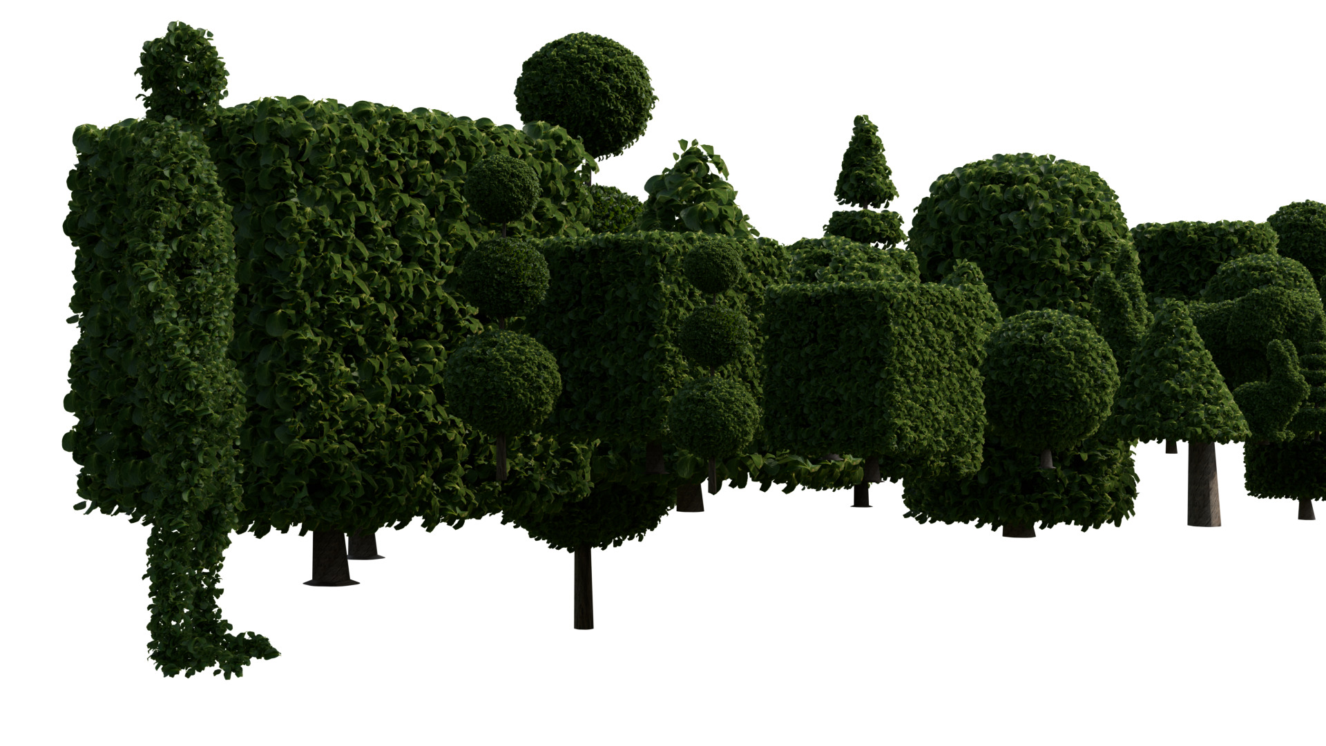 Topiary Buxus bushes 3D model_3