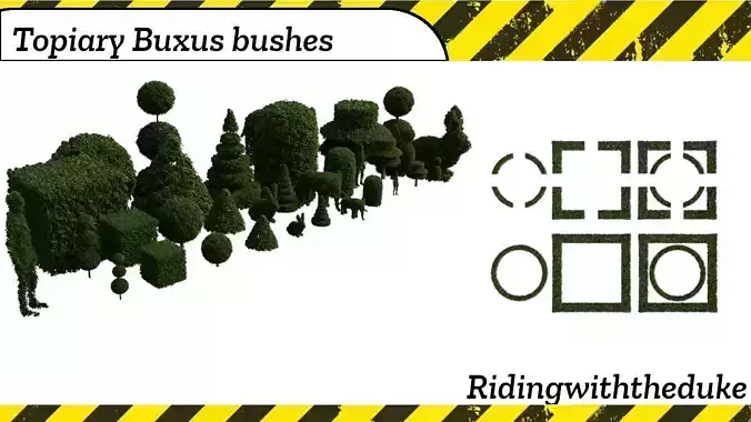 Topiary Buxus bushes