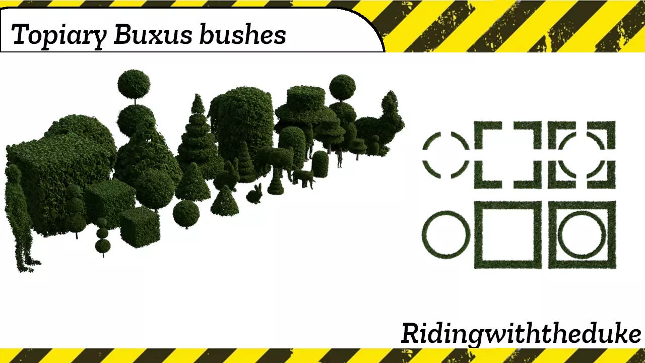 Topiary Buxus bushes 3D model_0
