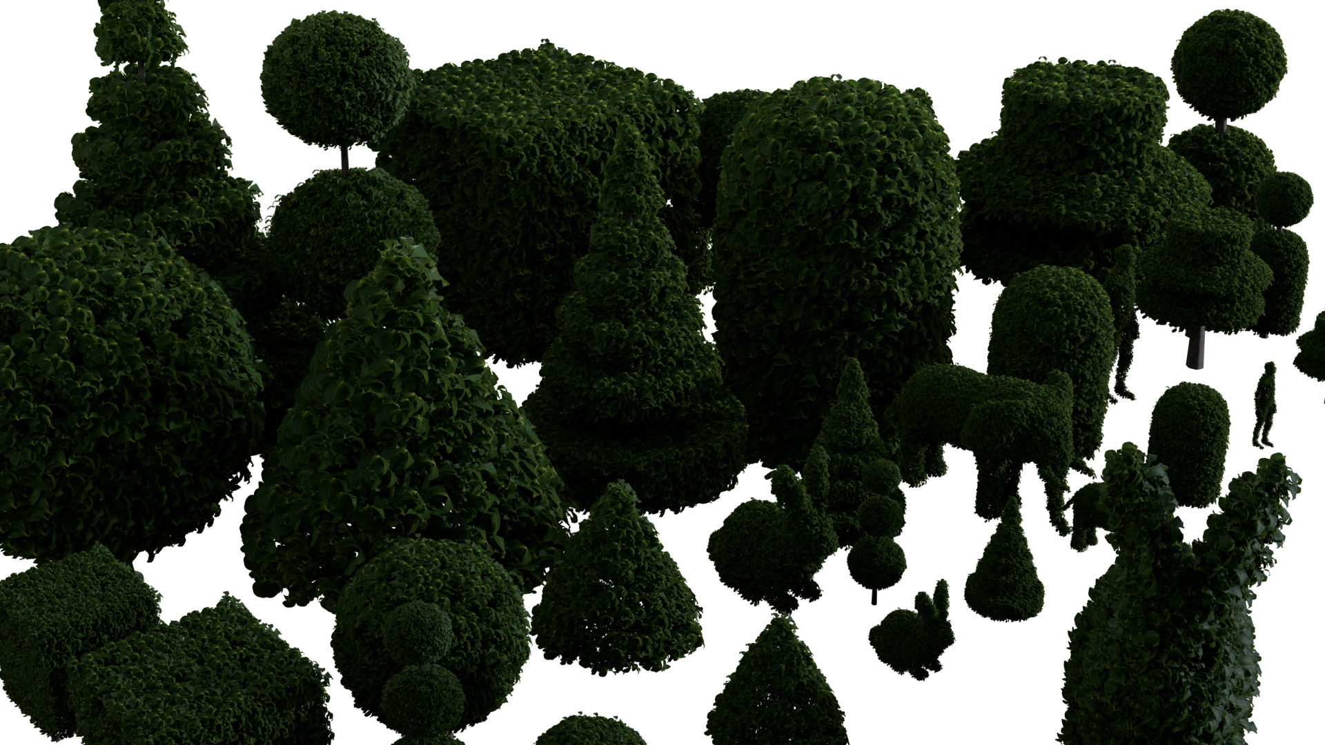 Topiary Buxus bushes 3D model_11